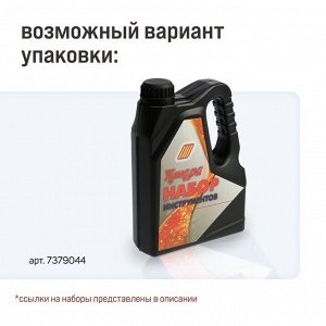 Набор инструментов ТУНДРА, подарочный пластиковый кейс «Канистра», 21 предмет