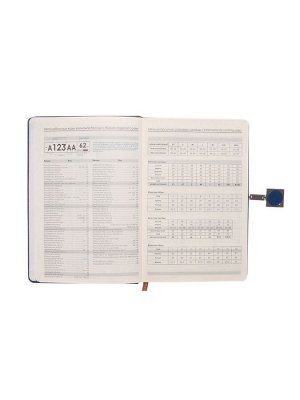Ежедневник недатированный формат А5, с хлястиком, 96л, линия, пвх, Синий