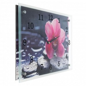 Часы настенные, серия: Цветы, "Орхидея на камнях", 30х40  см, в ассортименте