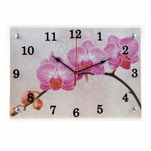 Часы настенные, серия: Цветы, &quot;Веточка орхидеи&quot;, 25х35  см, микс