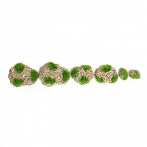 Greengo Мох искусственный «Камни», с каменной крошкой, набор 6 шт.