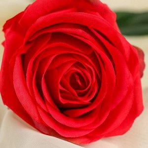 Цветы искусственные &quot;Роза арабская&quot; 8*55 см, красная