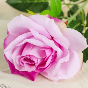 Цветы искусственные "Роза ариозо" 10*55 см, фиолетовая