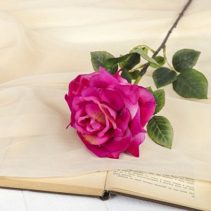 Цветок искусственный "Роза Пари" 11*75 см, бело-малиновый