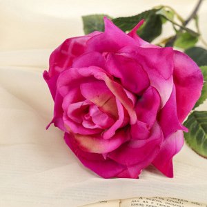 Цветок искусственный "Роза Пари" 11*75 см, бело-малиновый
