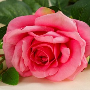 Цветы искусственные "Роза Офелия" 10*63 см, розовая