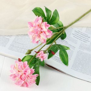 Цветы искусственные "Хризантема ажурная" 7*48 см, бело-розовый