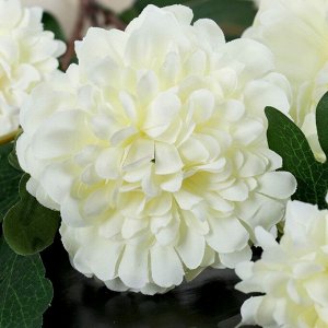Цветы искусственные "Клематис" 7*60 см, белый