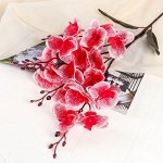 Цветы искусственные &quot;Орхидея фаленопсис&quot; 8*80 см, красный