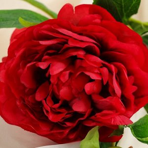 Цветы искусственные "Пион дуо" 12х60 см, красный