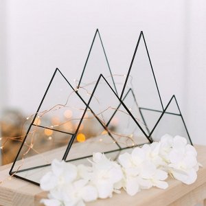 Флорариум «Горы», стекло, швы чёрные