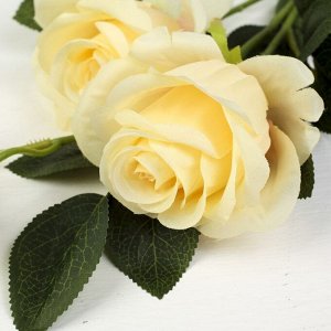Цветы искусственные "Розы с бутоном" 7*60 см, кремовый