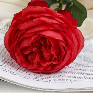 Цветы искусственные "Роза бархатная" 10*65 см, красная