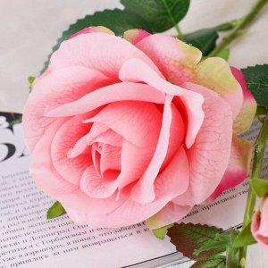 Цветы искусственные "Роза душистая" 9*50 см, розовый