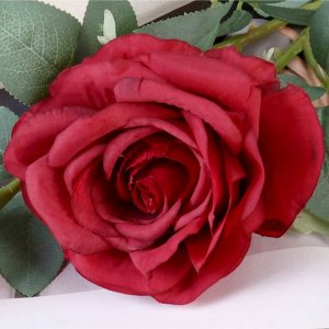Цветы искусственные "Роза Априкола" 9*60 см, бордовый