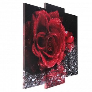 Модульная картина "Роза под дождём"  (2-25х52; 1-30х60) 60х80 см