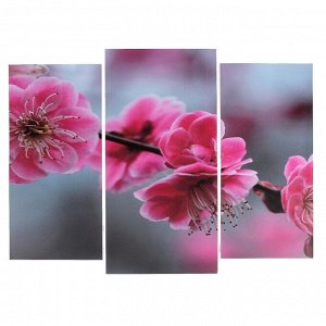 Модульная картина "Цветы сакуры"  (2-25х52; 1-30х60) 60х80 см