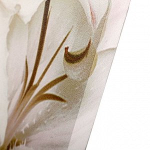 Модульная картина "Белые лилии" (2-25х50, 30х60см) 60х80 см