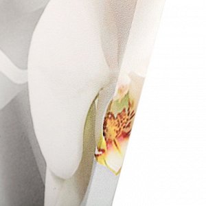 СИМА-ЛЕНД Картина модульная на подрамнике &quot;Ветка Орхидеи&quot; (2-25х50, 30х60 см) 80х60 см