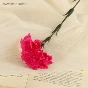 Цветы искусственные «Гвоздика розовая», h=40 см