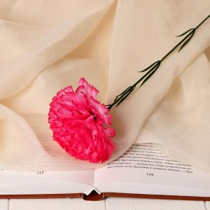 Цветы искусственные «Гвоздика», h=37 см, розовые