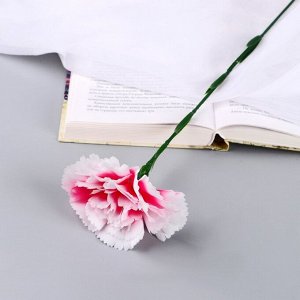 Цветы искусственные «Гвоздика экстра галант», h=49 см, d=8 см, белые
