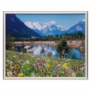 Картина "Поляна в горах" 43х53 см