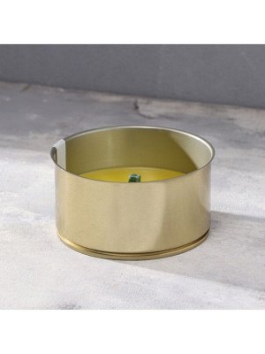 Ароматическая свеча уличная антимоскитная, 10x4.5 см, 120 г, 6 ч, цитронелла, жёлтый