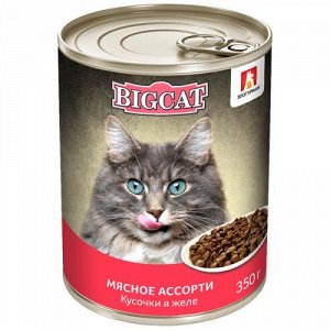 Зоогурман Big Cat конс 350г для кошек Мясное ассорти Желе