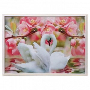 Картина "Лебеди в цветах" 52х72 см