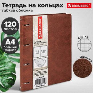 Тетрадь на кольцах БОЛЬШАЯ А4 (240х310 мм), 120 листов, под кожу, клетка, BRAUBERG "Main", коричневый, 404511