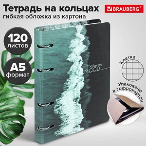 Тетрадь на кольцах А5 160х212 мм, 120 листов, картон, матовая ламинация, клетка, BRAUBERG, "Relax", 404725