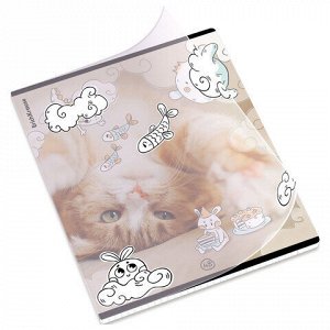 Тетрадь обложка пластик, А5, 48 л., скоба, клетка, ErichKrause, "Dream Cat" (микс в спайке), 54161