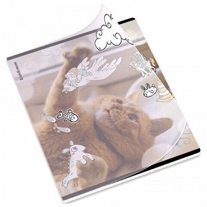 Тетрадь обложка пластик, А5, 48 л., скоба, клетка, ErichKrause, "Dream Cat" (микс в спайке), 54161