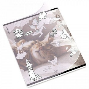 Тетрадь обложка пластик, А5, 48 л., скоба, клетка, ErichKrause, "Dream Cat" (микс в спайке), 54161