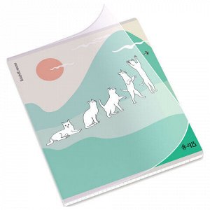 Тетрадь обложка пластик, А5, 48 л., скоба, клетка, ERICH KRAUSE, "Cat Day" (микс в спайке), 54159