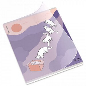 Тетрадь обложка пластик, А5, 48 л., скоба, клетка, ERICH KRAUSE, "Cat Day" (микс в спайке), 54159