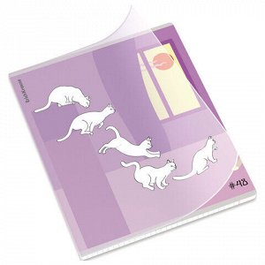 Тетрадь обложка пластик, А5, 48 л., скоба, клетка, ERICH KRAUSE, "Cat Day" (микс в спайке), 54159
