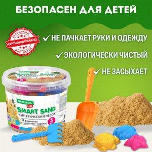 Песок для лепки кинетический песочный 3000 г, 3 формочки, лопатка, грабли, ведро, BRAUBERG KIDS, 665480