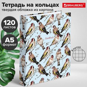 Тетрадь на кольцах А5 (175х215 мм), 120 листов, твердый картон, клетка, BRAUBERG, Щеглы, 404079