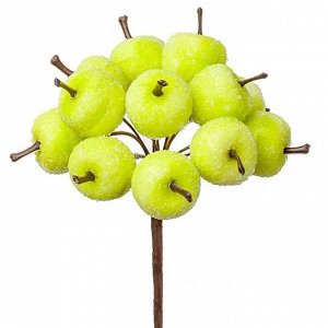 Яблоки засахаренные на вставках набор 12 шт D2,2х1,9хL10 см цвет зеленый