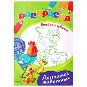Раскраски "Для мальчиков и девочек", КОМПЛЕКТ 25 шт., А5, 140х200 мм, 16 стр., ПП, 27652