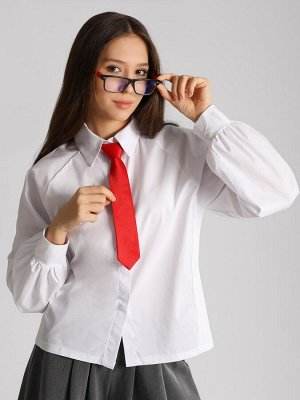 Блузка Варианты расцветки: белый
Ткань: хлопок плательный, Состав: 95% хлопок/ 5% эластан
Блузка для девочки СольПерец, на пуговицах, из натурального хлопка. Блузка свободного кроя, с потайной планкой