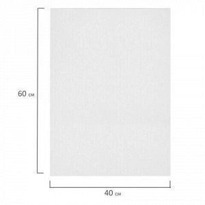 Холсты на картоне НАБОР 2 штуки (40х60 см), хлопок, грунт, 280 г/м2, BRAUBERG ART CLASSIC, 192656