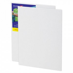 Холсты на картоне НАБОР 2 штуки (40х60 см), хлопок, грунт, 280 г/м2, BRAUBERG ART CLASSIC, 192656