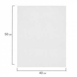 Холсты на картоне НАБОР 2 штуки (40х50 см), хлопок, грунт, 280 г/м2, BRAUBERG ART CLASSIC, 192655