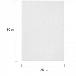 Холсты на картоне НАБОР 5 штук (20х30 см), хлопок, 280 г/м2, грунт, BRAUBERG ART CLASSIC, 192651