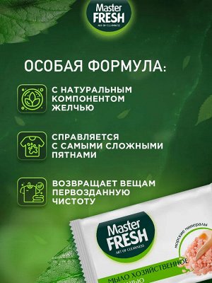 Мастер Фреш Мыло "Хозяйственное" с желчью от всех видов пятен 90 г