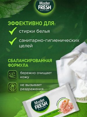 Мастер Фреш Мыло "Хозяйственное" с желчью от всех видов пятен 90 г