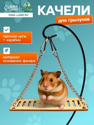 Качели большие для грызунов на цепочках, 13 х 6 см, фанера